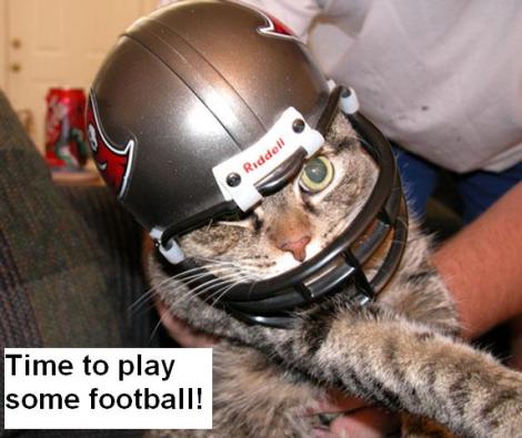 Football cat!